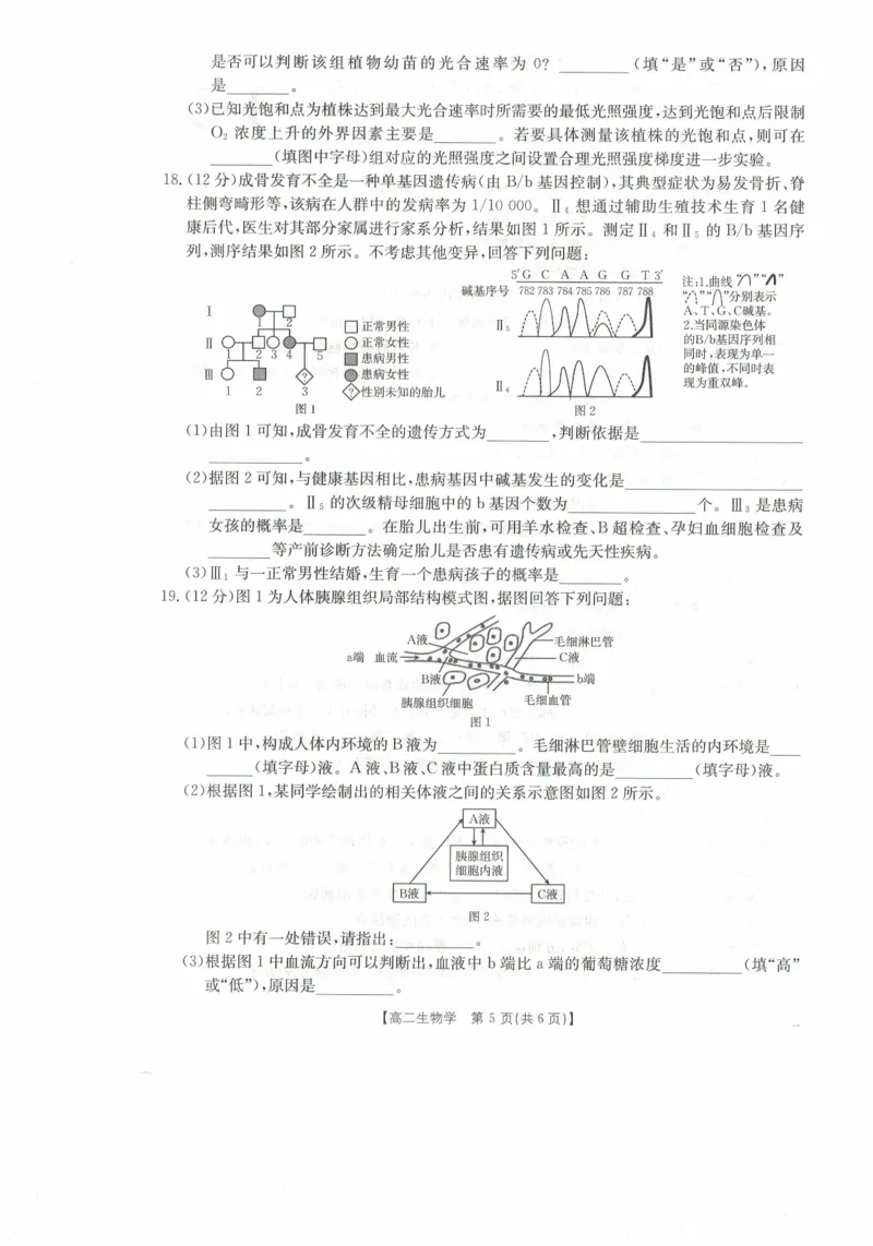 高二生物试卷_2025年11月高二试卷_251118金太阳&middot;广西省2025&mdash;2026学年上学期高二期中考试（26-125B）（全）_广西省多校2025&mdash;2026学年上学期高二期中考试生物