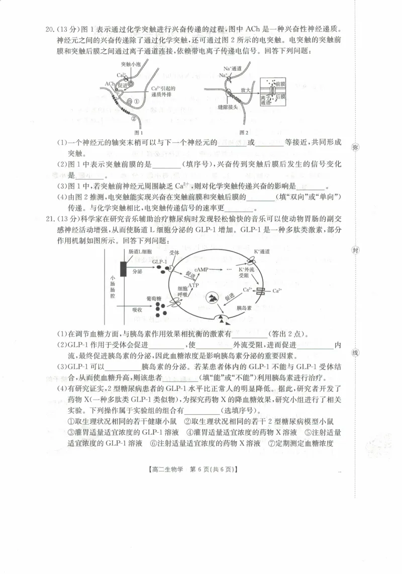 高二生物试卷_2025年11月高二试卷_251118金太阳&middot;广西省2025&mdash;2026学年上学期高二期中考试（26-125B）（全）_广西省多校2025&mdash;2026学年上学期高二期中考试生物
