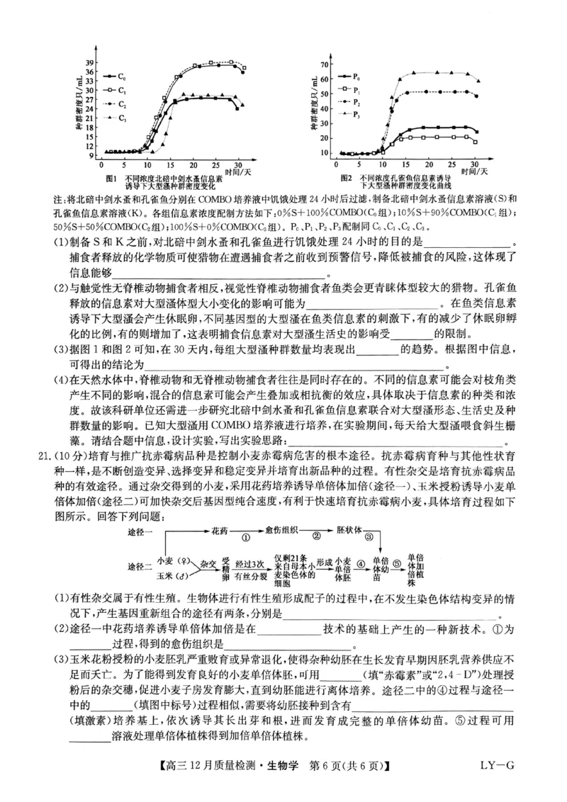 生物_2024-2025高三（6-6月题库）_2024年12月试卷_1225九师联盟2025届高三12月质量检测（全科）_九师联盟2025届高三12月质量检测生物（LY-G）