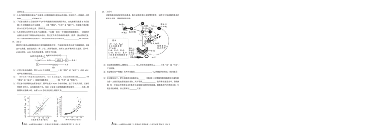（B卷）1号卷&middot;A10联盟2024级高二上学期10月学情诊断生物学b_2025年10月高二试卷_251017安徽省1号卷&middot;A10联盟2024级高二上学期10月学情诊断（全）