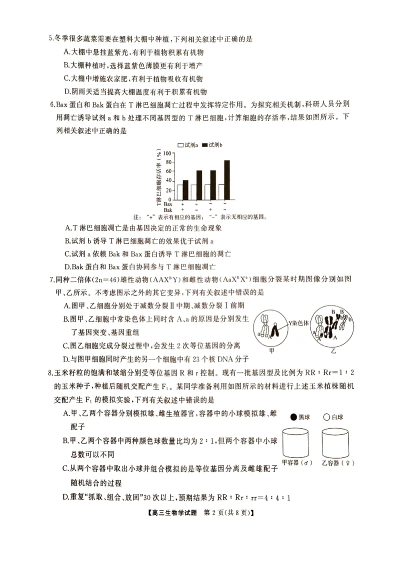 湖南省三湘名校联盟2024-2025学年高三上学期11月期中第二次联考生物试题_2024-2025高三（6-6月题库）_2024年11月试卷_1121湖南省三湘名校教育联盟2025届高三上学期第二次大联考