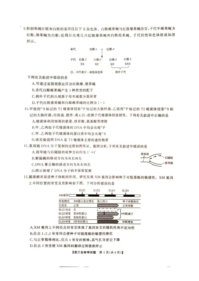 湖南省三湘名校联盟2024-2025学年高三上学期11月期中第二次联考生物试题_2024-2025高三（6-6月题库）_2024年11月试卷_1121湖南省三湘名校教育联盟2025届高三上学期第二次大联考