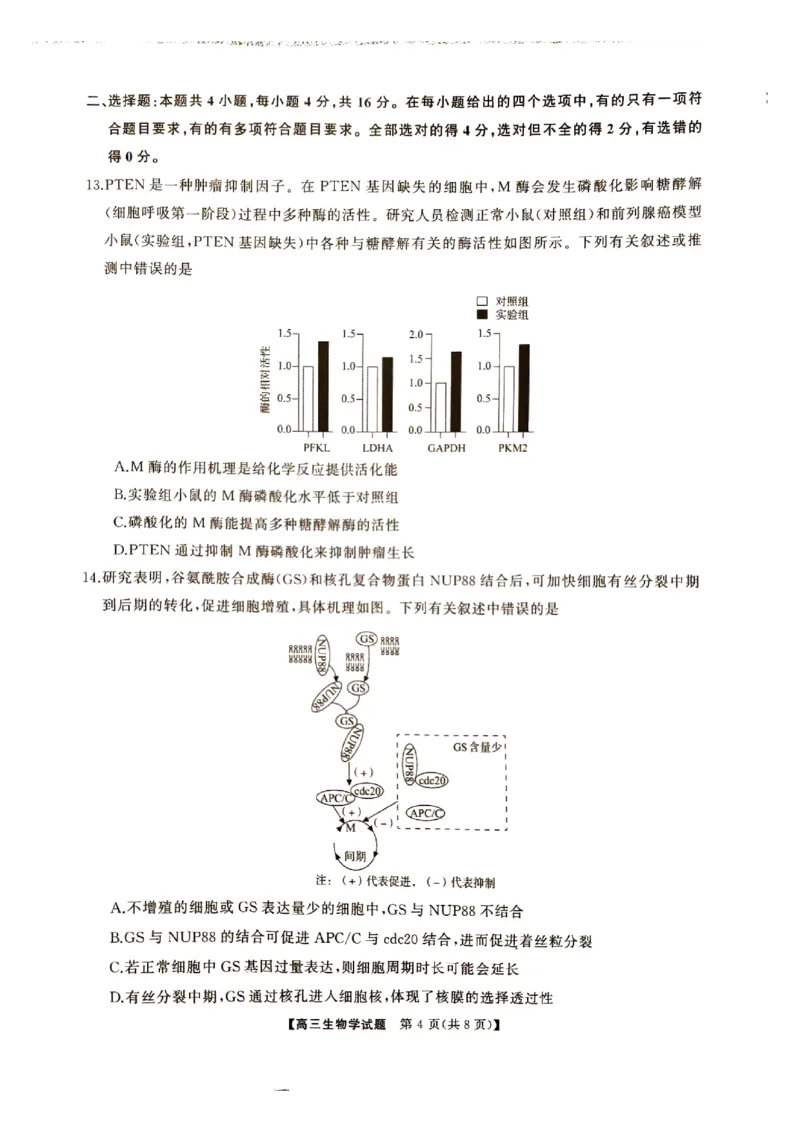 湖南省三湘名校联盟2024-2025学年高三上学期11月期中第二次联考生物试题_2024-2025高三（6-6月题库）_2024年11月试卷_1121湖南省三湘名校教育联盟2025届高三上学期第二次大联考