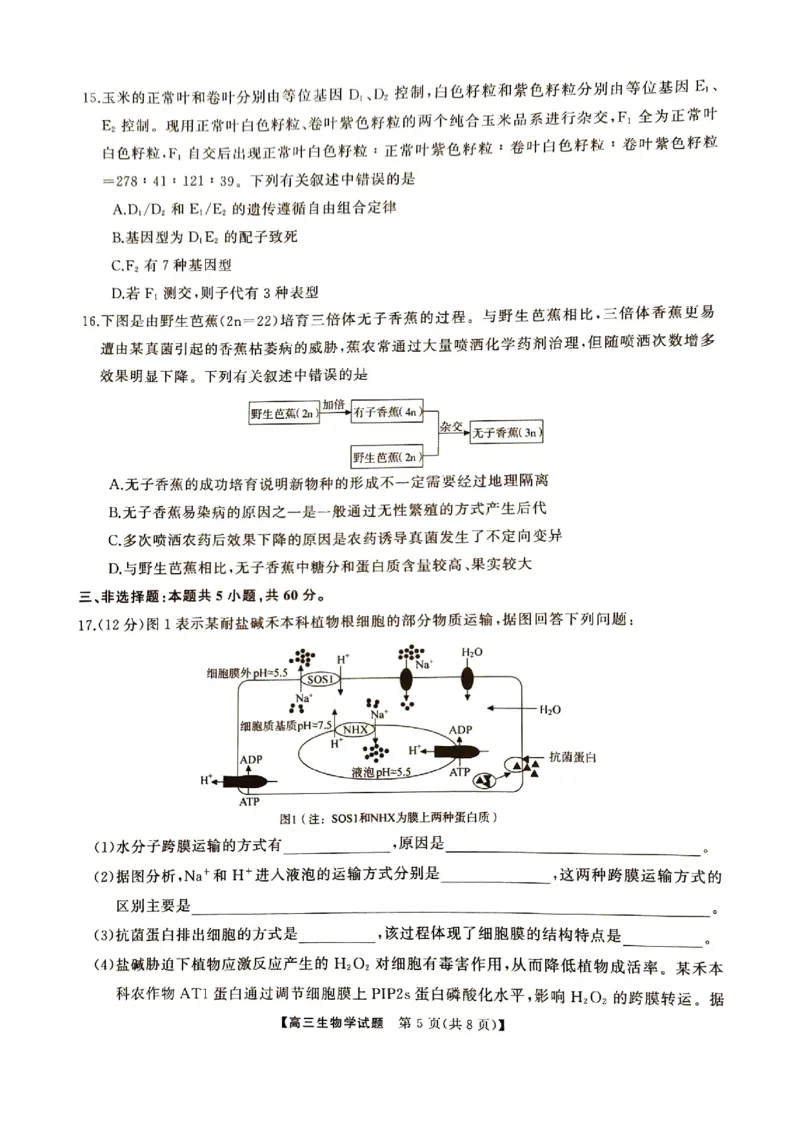 湖南省三湘名校联盟2024-2025学年高三上学期11月期中第二次联考生物试题_2024-2025高三（6-6月题库）_2024年11月试卷_1121湖南省三湘名校教育联盟2025届高三上学期第二次大联考
