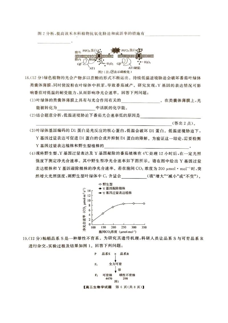 湖南省三湘名校联盟2024-2025学年高三上学期11月期中第二次联考生物试题_2024-2025高三（6-6月题库）_2024年11月试卷_1121湖南省三湘名校教育联盟2025届高三上学期第二次大联考