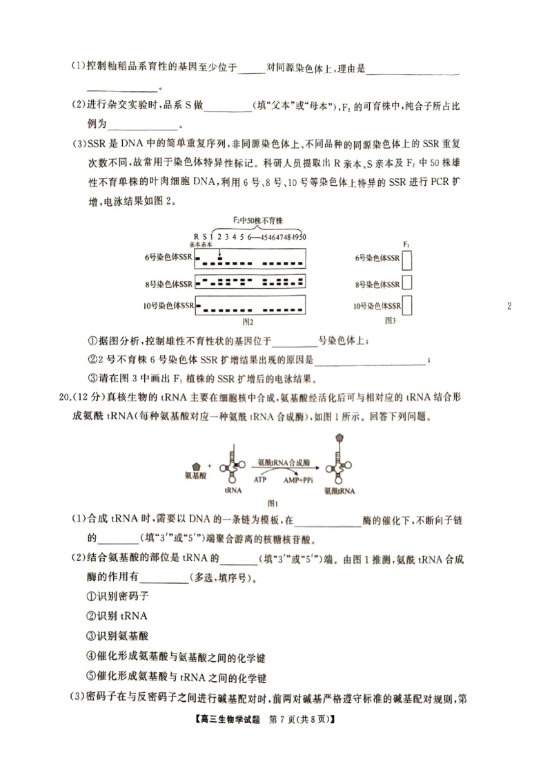 湖南省三湘名校联盟2024-2025学年高三上学期11月期中第二次联考生物试题_2024-2025高三（6-6月题库）_2024年11月试卷_1121湖南省三湘名校教育联盟2025届高三上学期第二次大联考