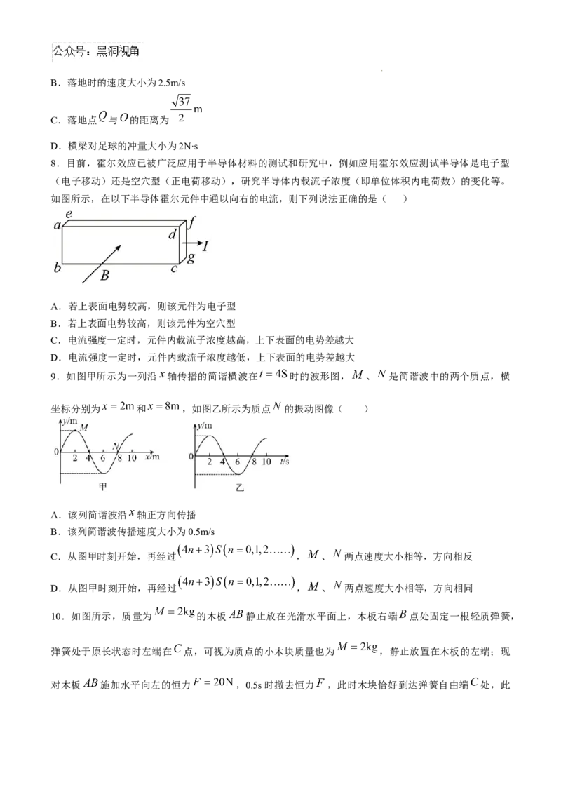 湖北省武汉外国语学校2024-2025学年高三上学期10月考试物理试题Word版含解析_2024-2025高三（6-6月题库）_2024年11月试卷_1104湖北省武汉外国语学校2025届高三上学期10月月考