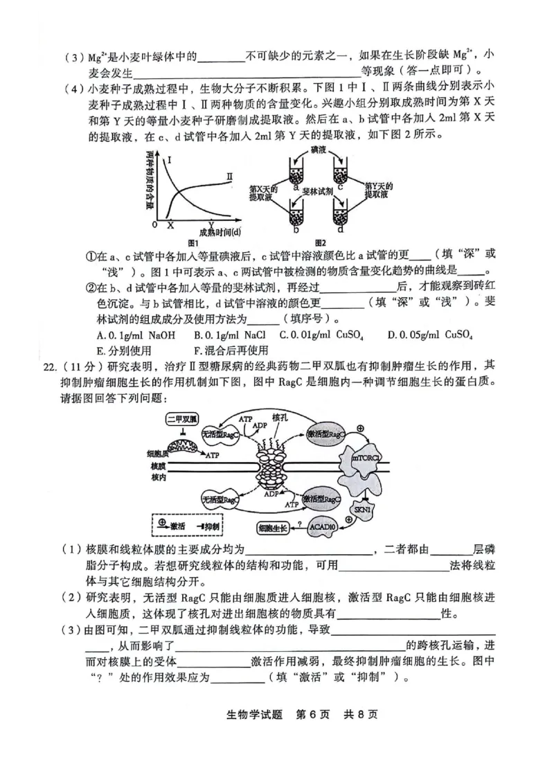 高二生物_2024-2025高二（7-7月题库）_2024年07月试卷_0723辽宁省点石联考2023-2024学年高二下学期7月期末联考_辽宁省点石联考2023-2024学年高二下学期7月期末生物试题