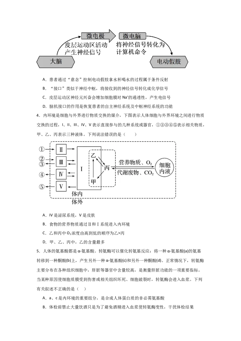 河南省信阳高级中学新校（贤岭校区）2025-2026学年高二上期10月测试（一）生物试题_2025年11月高二试卷_251103河南省信阳市浉河区信阳高级中学2025-2026学年高二上学期10月月考