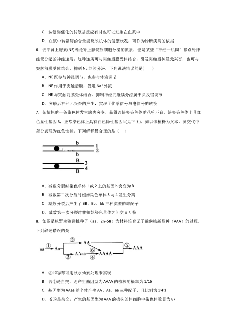 河南省信阳高级中学新校（贤岭校区）2025-2026学年高二上期10月测试（一）生物试题_2025年11月高二试卷_251103河南省信阳市浉河区信阳高级中学2025-2026学年高二上学期10月月考
