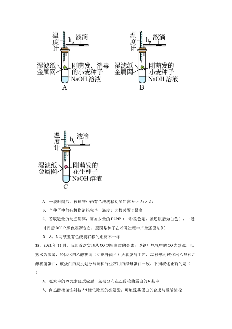 河南省信阳高级中学新校（贤岭校区）2025-2026学年高二上期10月测试（一）生物试题_2025年11月高二试卷_251103河南省信阳市浉河区信阳高级中学2025-2026学年高二上学期10月月考