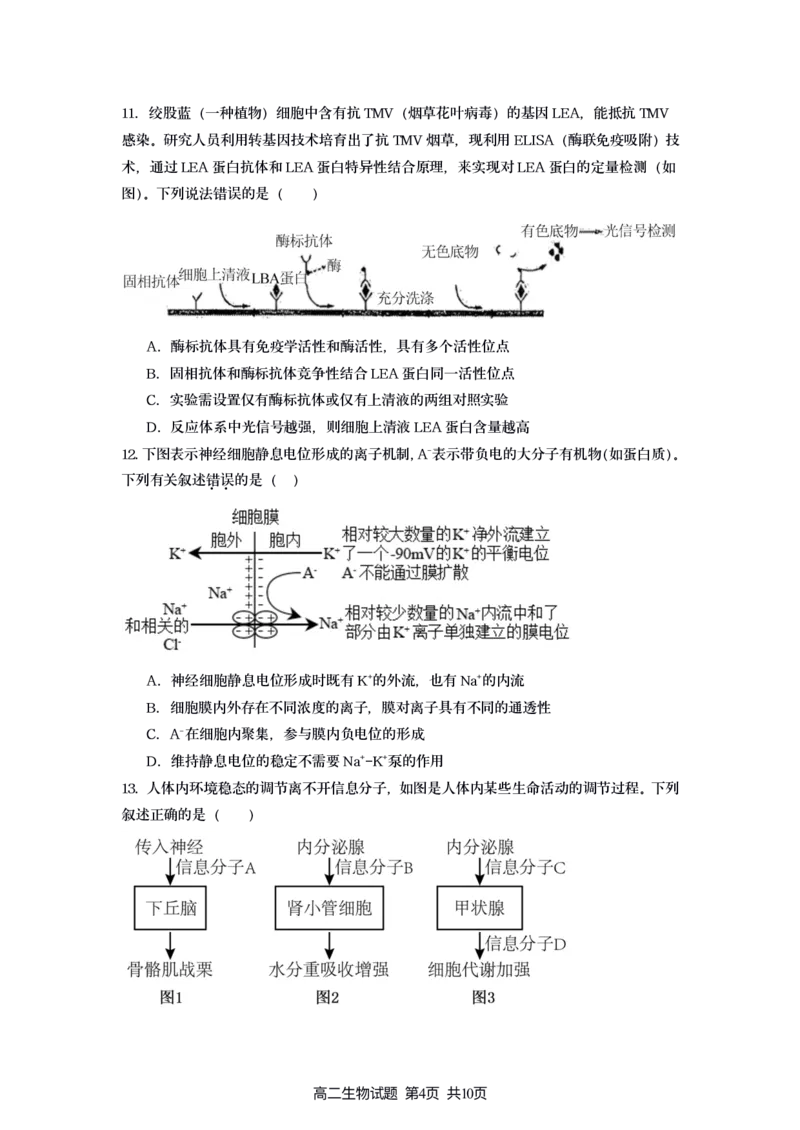 新海高二生物月考试题_2025年10月高二试卷_251015江苏省连云港市赣榆区新海高级中学2025-2026学年高二上学期10月学业水平质量监测（全）