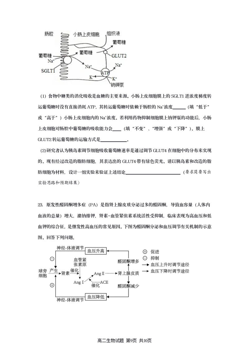 新海高二生物月考试题_2025年10月高二试卷_251015江苏省连云港市赣榆区新海高级中学2025-2026学年高二上学期10月学业水平质量监测（全）