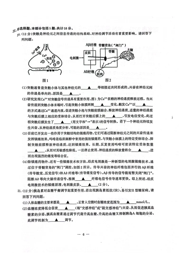 江苏省南京市2025-2026学年高二上学期11月期中生物试题含答案_2025年11月高二试卷_251117江苏省南京市2025-2026学年高二上学期期中学情调研测试（全）