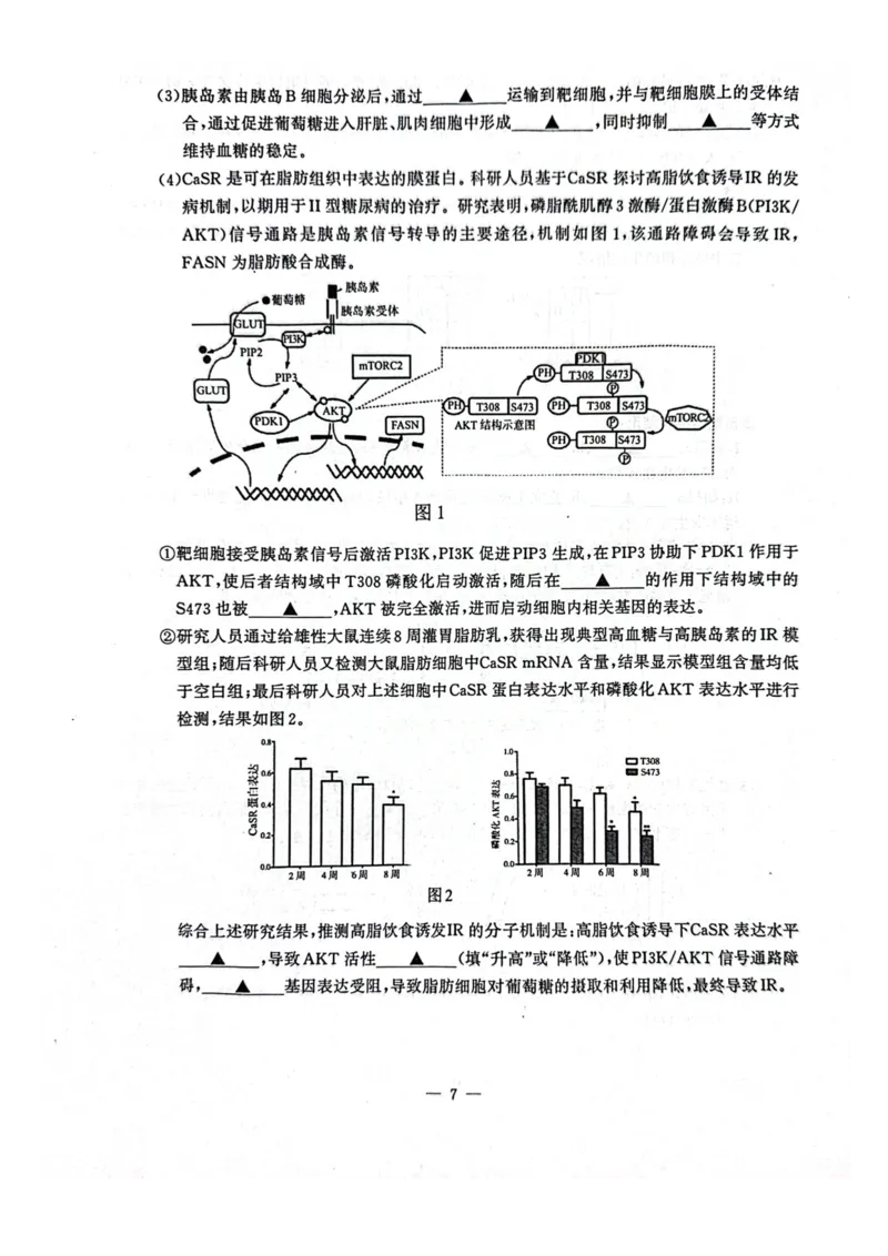 江苏省南京市2025-2026学年高二上学期11月期中生物试题含答案_2025年11月高二试卷_251117江苏省南京市2025-2026学年高二上学期期中学情调研测试（全）