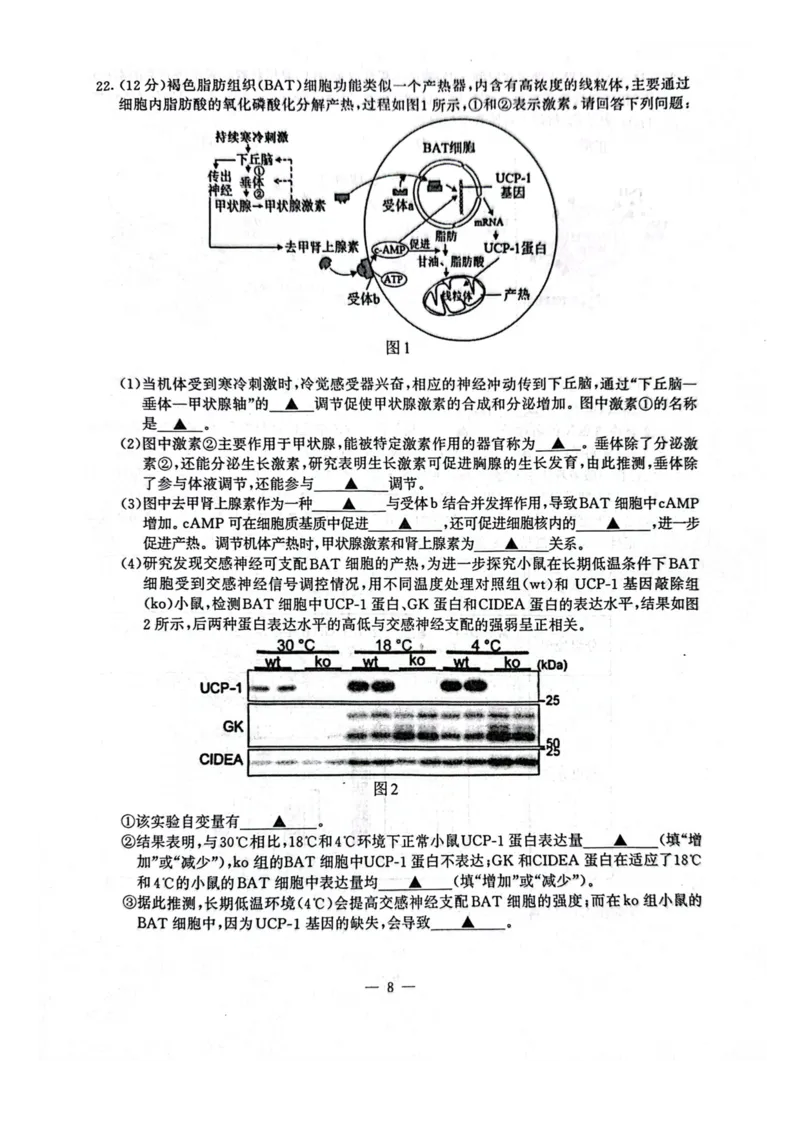 江苏省南京市2025-2026学年高二上学期11月期中生物试题含答案_2025年11月高二试卷_251117江苏省南京市2025-2026学年高二上学期期中学情调研测试（全）