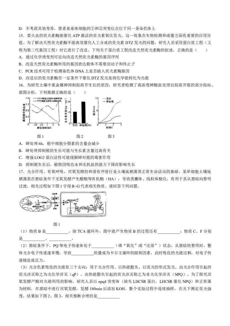 湖南省长沙市湖南师范大学附属中学2024-2025学年高三上学期月考（一）生物试题+答案_2024-2025高三（6-6月题库）_2024年09月试卷
