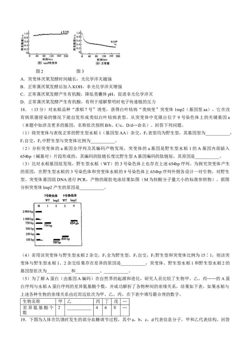 湖南省长沙市湖南师范大学附属中学2024-2025学年高三上学期月考（一）生物试题+答案_2024-2025高三（6-6月题库）_2024年09月试卷
