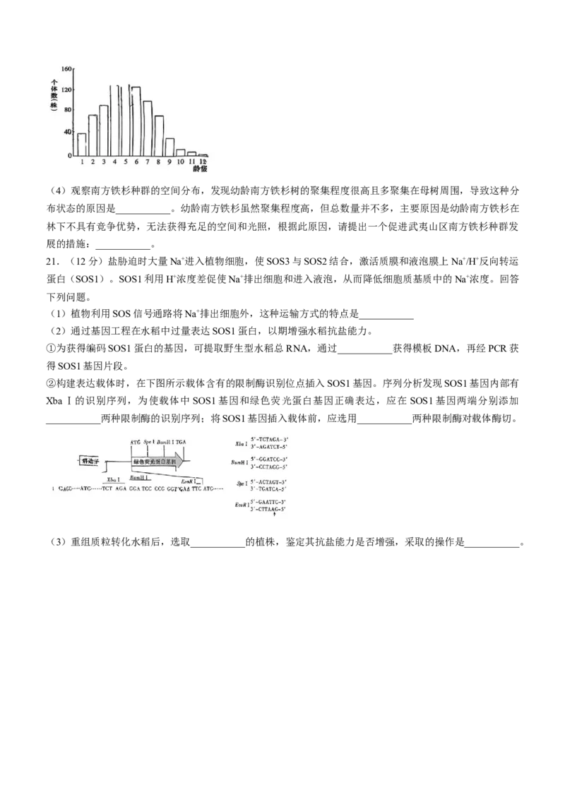 湖南省长沙市湖南师范大学附属中学2024-2025学年高三上学期月考（一）生物试题+答案_2024-2025高三（6-6月题库）_2024年09月试卷