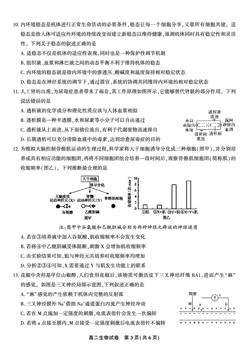 生物试题&middot;2025年高二10月联考_2025年10月高二试卷_251026安徽省皖江名校联盟2025-2026学年高二上学期10月阶段考（全）