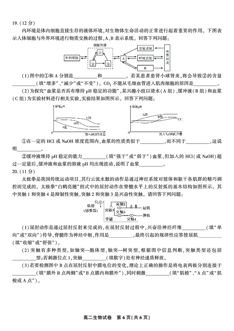生物试题&middot;2025年高二10月联考_2025年10月高二试卷_251026安徽省皖江名校联盟2025-2026学年高二上学期10月阶段考（全）