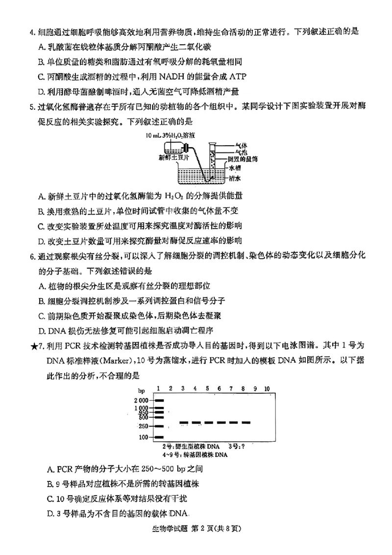 炎德&middot;英才&middot;名校联考联合体2025届高三第一次联考(暨入学检测)生物试卷_2024-2025高三（6-6月题库）_2024年08月试卷_0828湖南炎德&middot;英才&middot;名校联考联合体2025届高三第一次联考(暨入学检测)