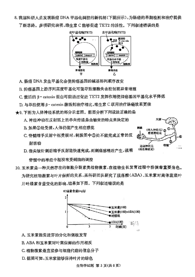 炎德&middot;英才&middot;名校联考联合体2025届高三第一次联考(暨入学检测)生物试卷_2024-2025高三（6-6月题库）_2024年08月试卷_0828湖南炎德&middot;英才&middot;名校联考联合体2025届高三第一次联考(暨入学检测)