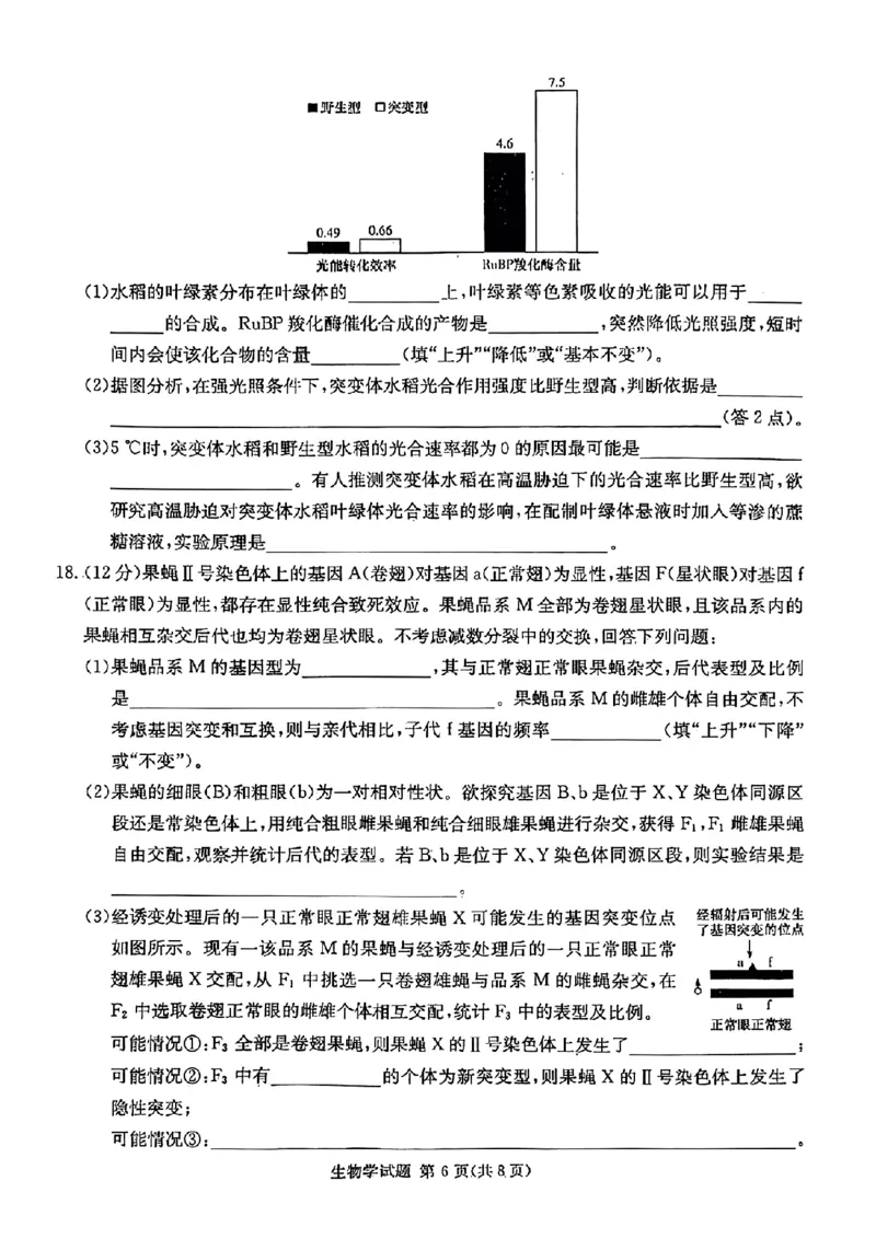 炎德&middot;英才&middot;名校联考联合体2025届高三第一次联考(暨入学检测)生物试卷_2024-2025高三（6-6月题库）_2024年08月试卷_0828湖南炎德&middot;英才&middot;名校联考联合体2025届高三第一次联考(暨入学检测)