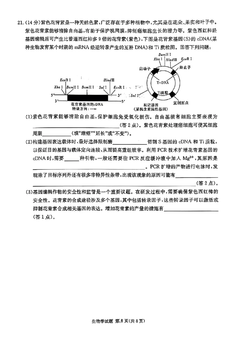 炎德&middot;英才&middot;名校联考联合体2025届高三第一次联考(暨入学检测)生物试卷_2024-2025高三（6-6月题库）_2024年08月试卷_0828湖南炎德&middot;英才&middot;名校联考联合体2025届高三第一次联考(暨入学检测)