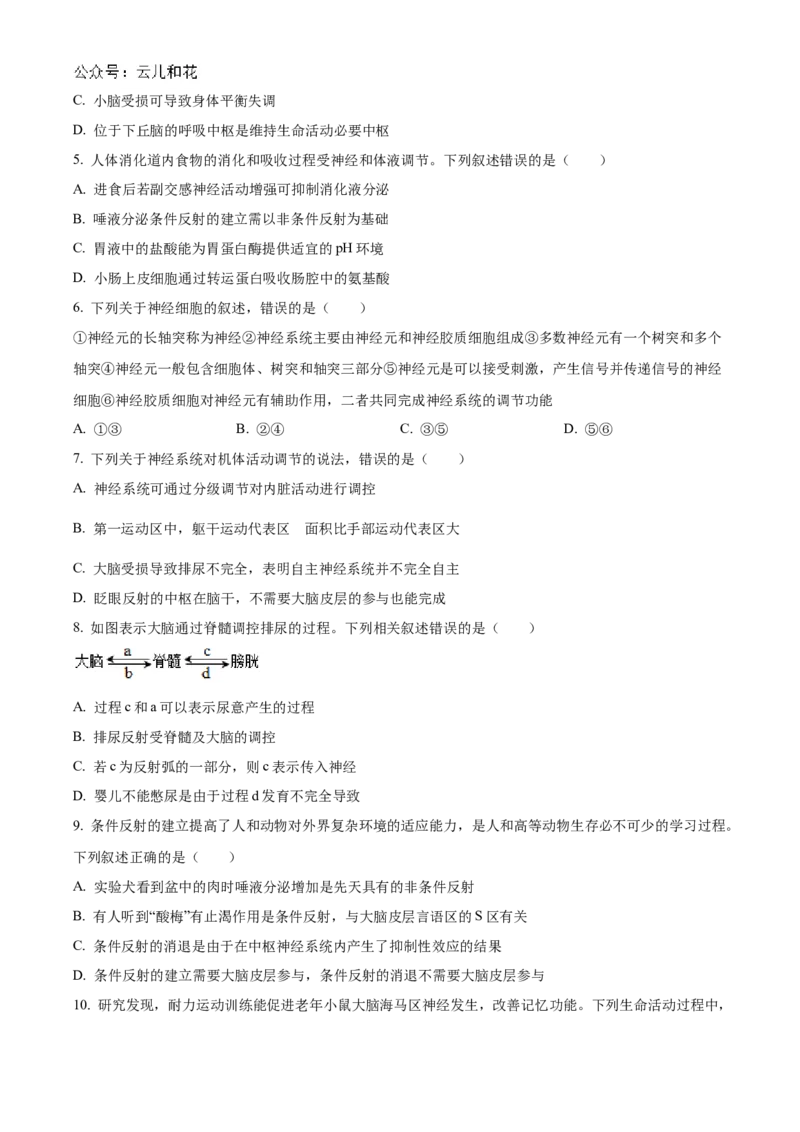 辽宁省锦州市2024-2025学年高二上学期11月期中生物试题（含答案）_2024-2025高二（7-7月题库）_2024年12月试卷_1204辽宁省锦州市2024-2025学年高二上学期11月期中