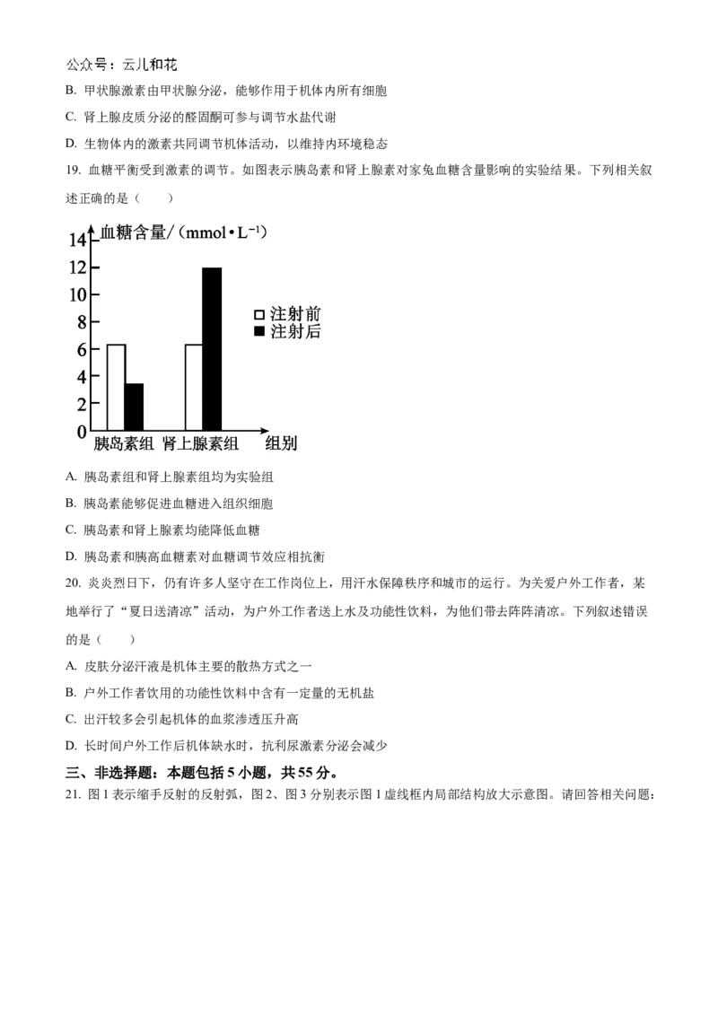 辽宁省锦州市2024-2025学年高二上学期11月期中生物试题（含答案）_2024-2025高二（7-7月题库）_2024年12月试卷_1204辽宁省锦州市2024-2025学年高二上学期11月期中