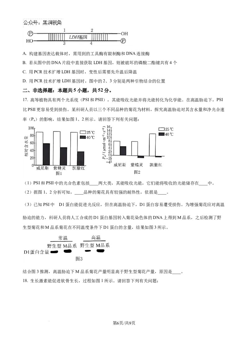甘肃省白银市靖远县第一中学2024-2025学年高三上学期9月月考生物试题（卷）_2024-2025高三（6-6月题库）_2024年09月试卷_09252025高考模拟金典卷25新高考JD&middot;Y