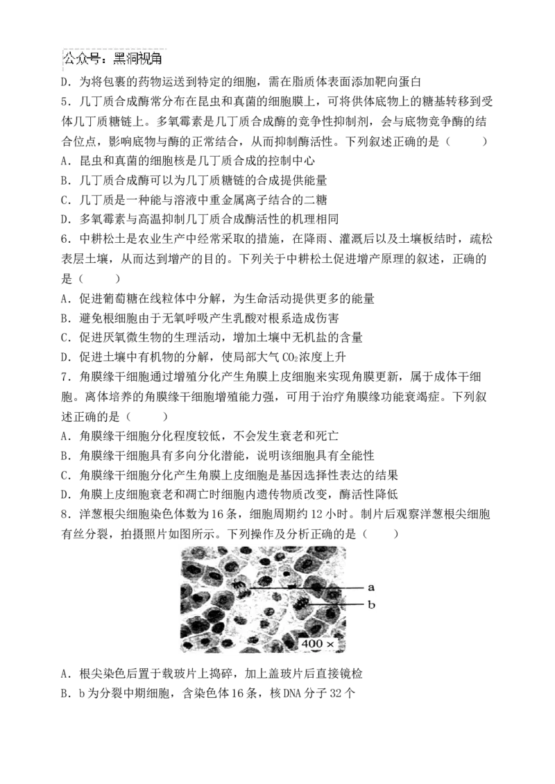 福建省福州市八县（市）协作校2024-2025学年高三上学期期中联考试题生物Word版含答案_2024-2025高三（6-6月题库）_2024年11月试卷