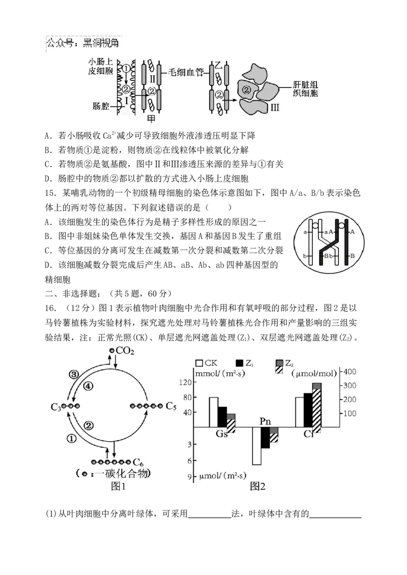 福建省福州市八县（市）协作校2024-2025学年高三上学期期中联考试题生物Word版含答案_2024-2025高三（6-6月题库）_2024年11月试卷