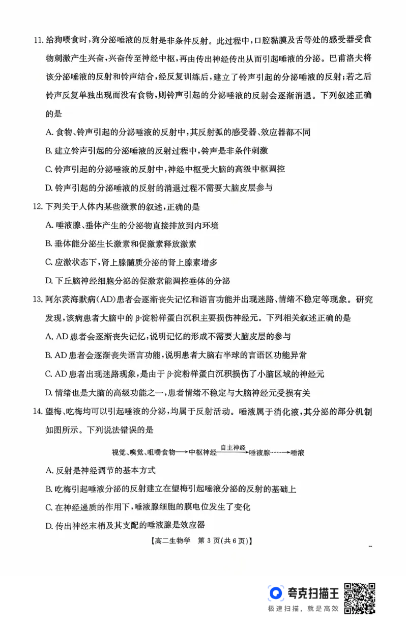 广东省2027届高二年级10月份联考（26-48B）生物_2025年10月高二试卷_251024金太阳&middot;广东省2027届高二年级10月份联考（26-48B）（全）