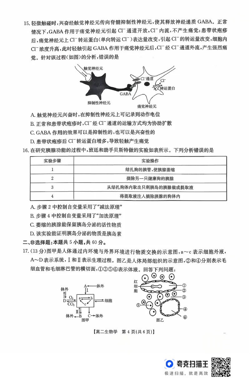 广东省2027届高二年级10月份联考（26-48B）生物_2025年10月高二试卷_251024金太阳&middot;广东省2027届高二年级10月份联考（26-48B）（全）