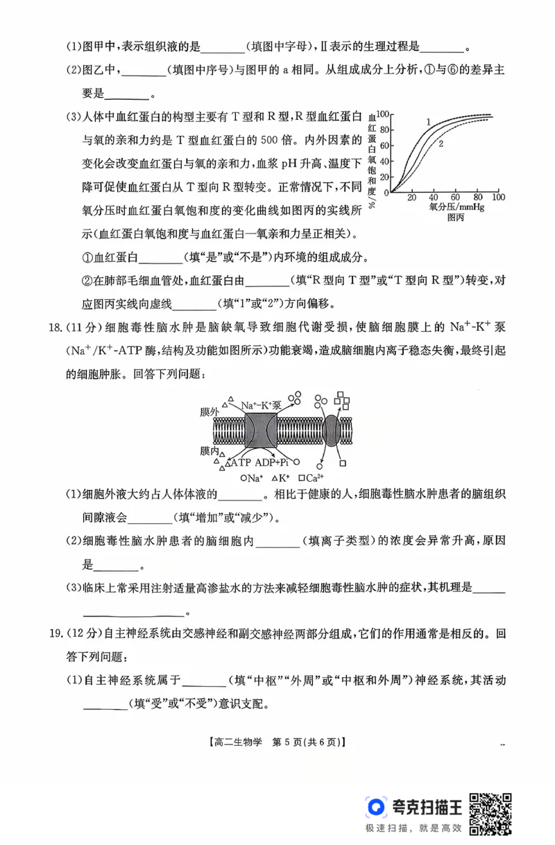 广东省2027届高二年级10月份联考（26-48B）生物_2025年10月高二试卷_251024金太阳&middot;广东省2027届高二年级10月份联考（26-48B）（全）