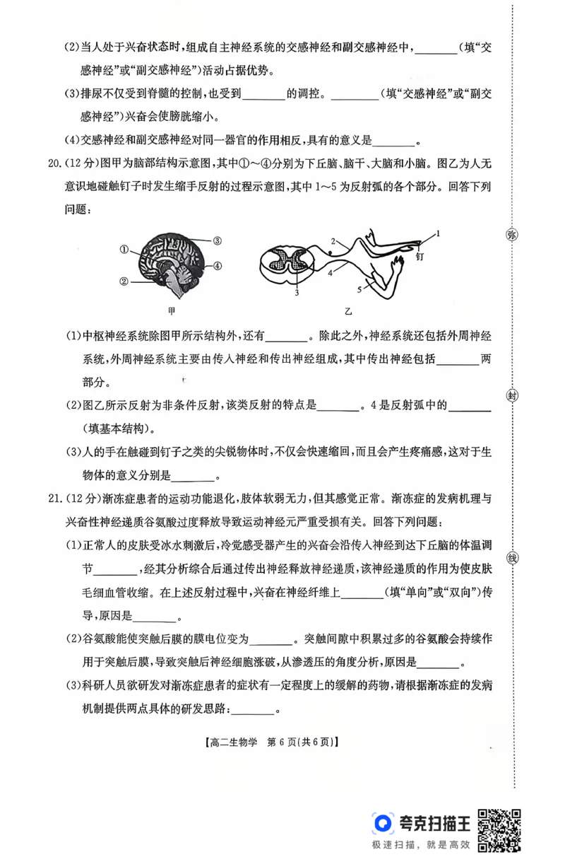 广东省2027届高二年级10月份联考（26-48B）生物_2025年10月高二试卷_251024金太阳&middot;广东省2027届高二年级10月份联考（26-48B）（全）