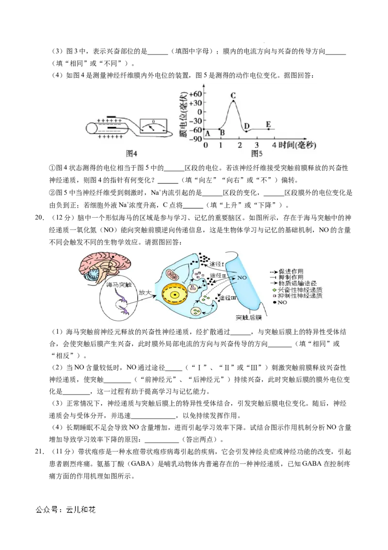 高二生物第一次月考卷（考试版A4）测试范围：1~2章（北京专用）_2024-2025高二（7-7月题库）_2024年09月试卷