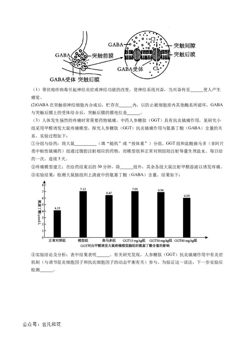 高二生物第一次月考卷（考试版A4）测试范围：1~2章（北京专用）_2024-2025高二（7-7月题库）_2024年09月试卷