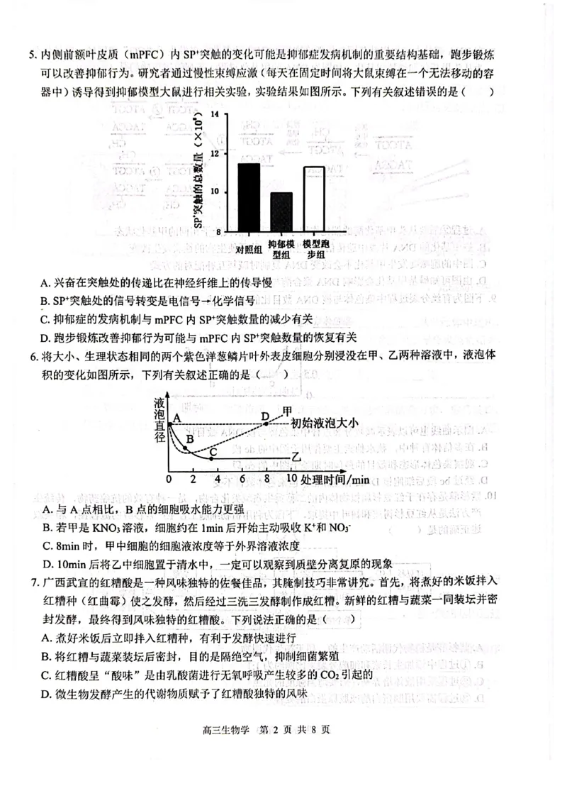生物试卷_2024-2025高三（6-6月题库）_2024年12月试卷_1217广西名校2025届高中毕业班12月模拟考试
