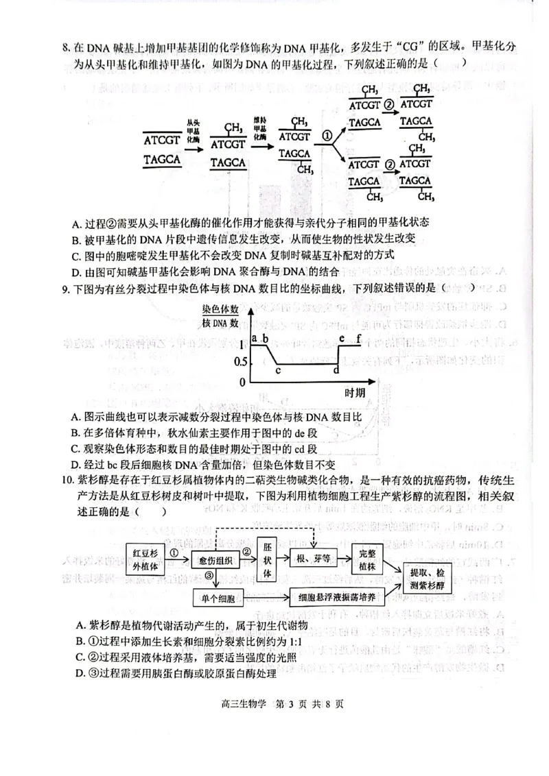 生物试卷_2024-2025高三（6-6月题库）_2024年12月试卷_1217广西名校2025届高中毕业班12月模拟考试