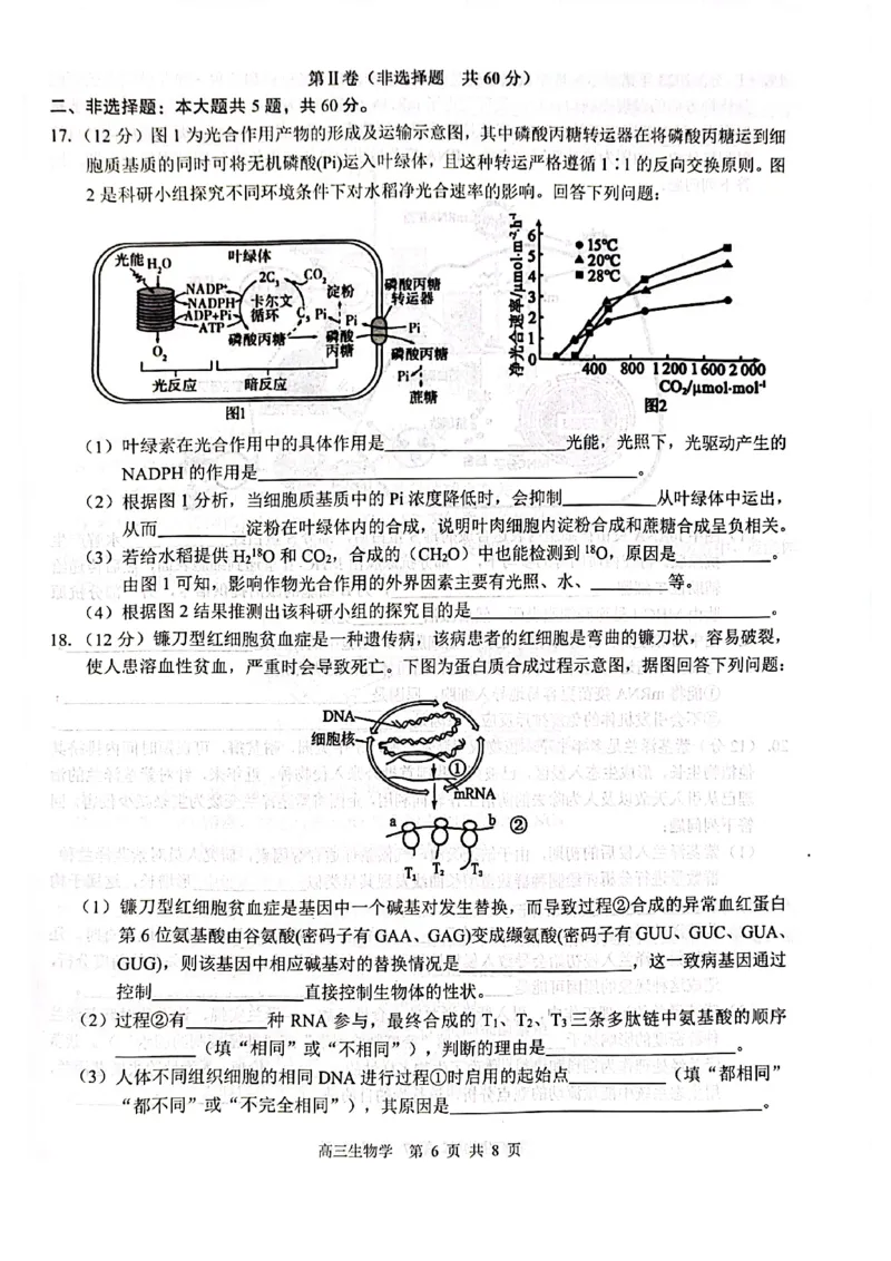 生物试卷_2024-2025高三（6-6月题库）_2024年12月试卷_1217广西名校2025届高中毕业班12月模拟考试