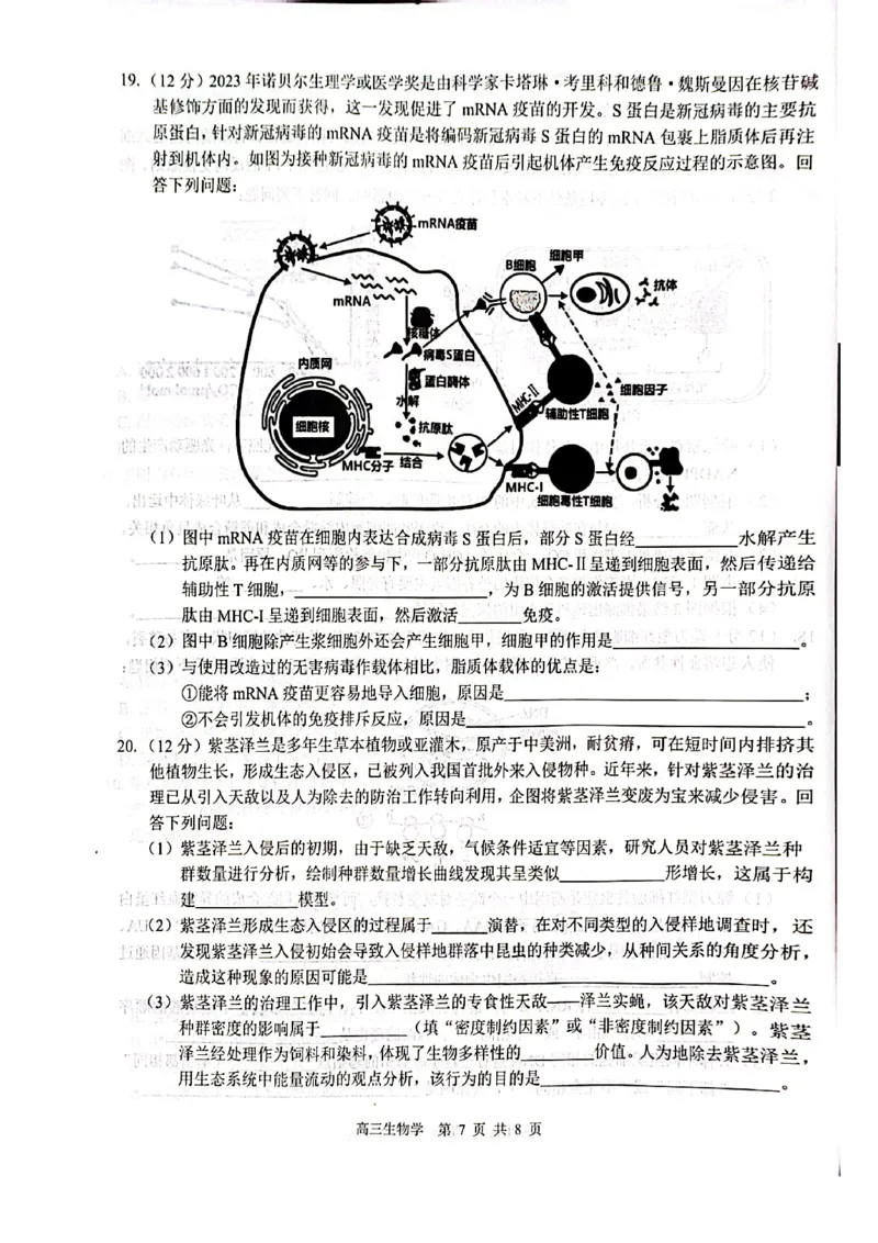 生物试卷_2024-2025高三（6-6月题库）_2024年12月试卷_1217广西名校2025届高中毕业班12月模拟考试