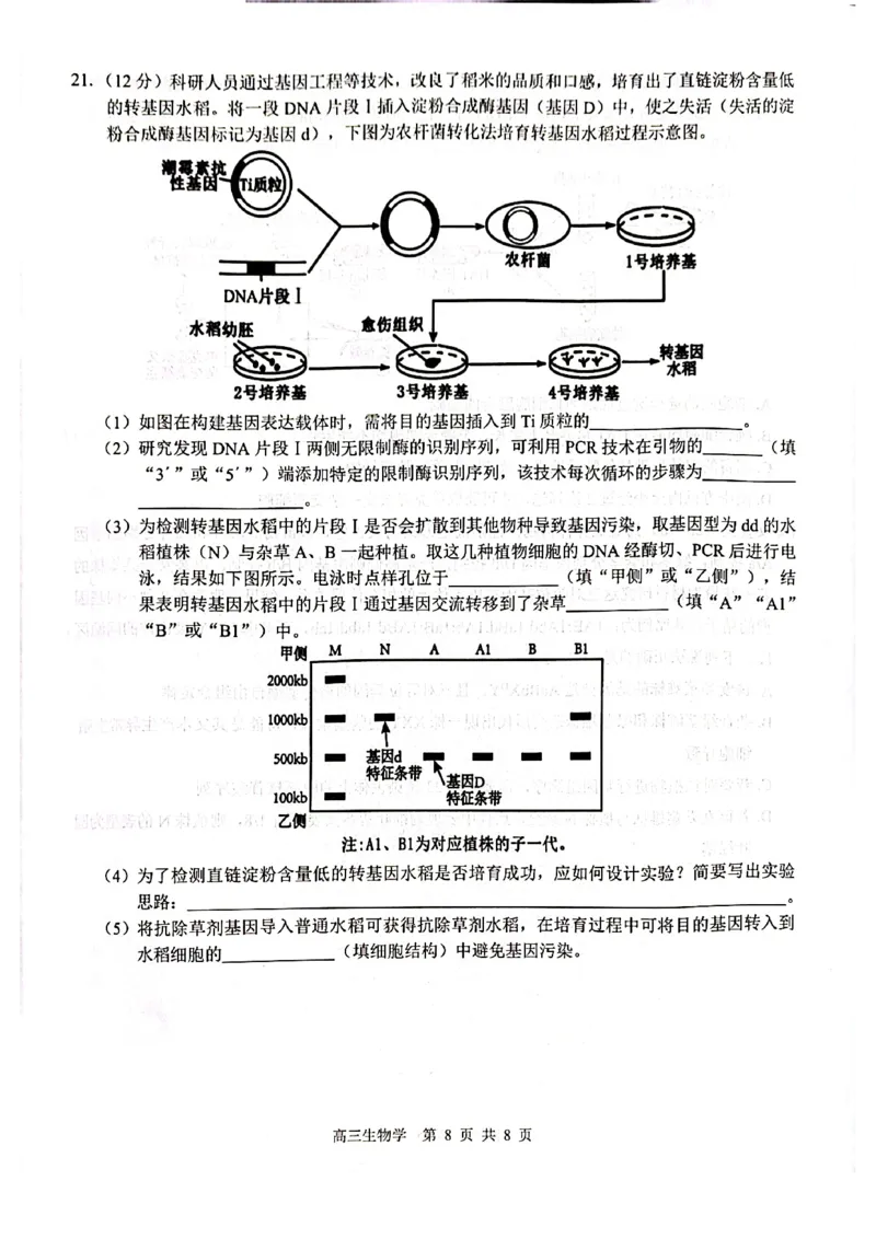 生物试卷_2024-2025高三（6-6月题库）_2024年12月试卷_1217广西名校2025届高中毕业班12月模拟考试