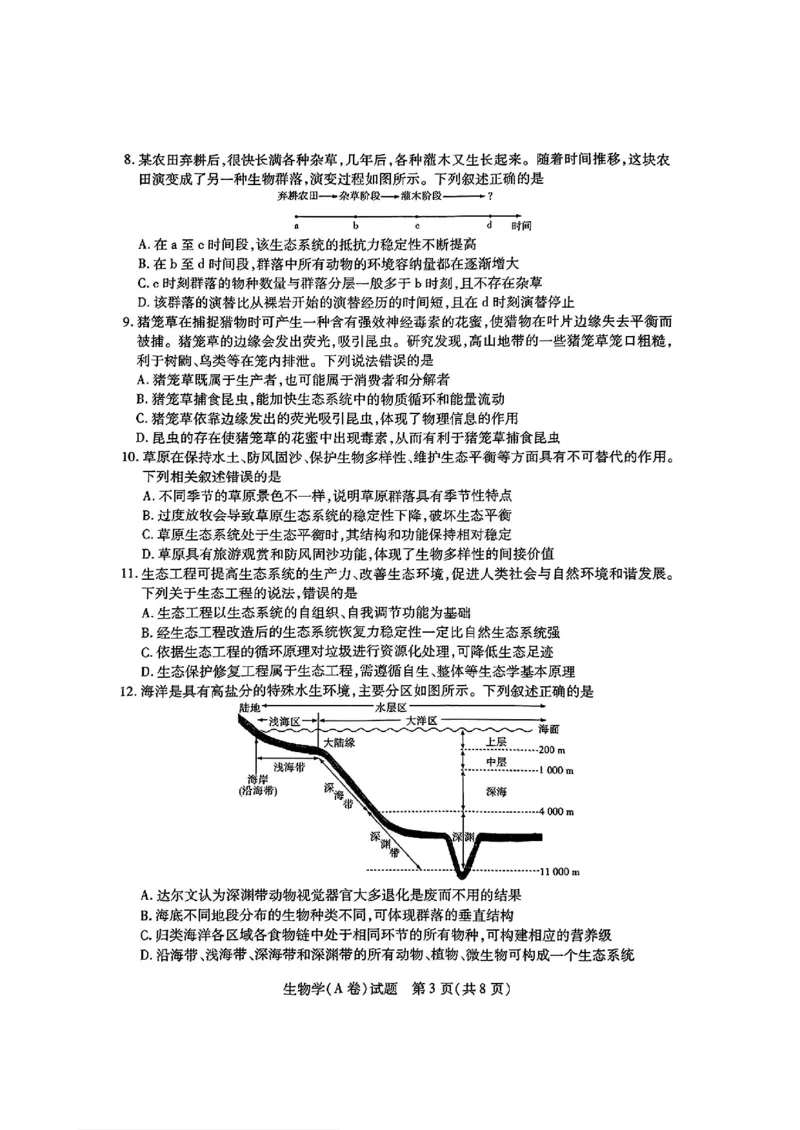 生物试卷_2024-2025高三（6-6月题库）_2024年12月试卷_1213河南省天一大联考2024-2025学年高中毕业班阶段性测试（四）_河南省天一大联考2024-2025学年高中毕业班阶段性测试（四）生物