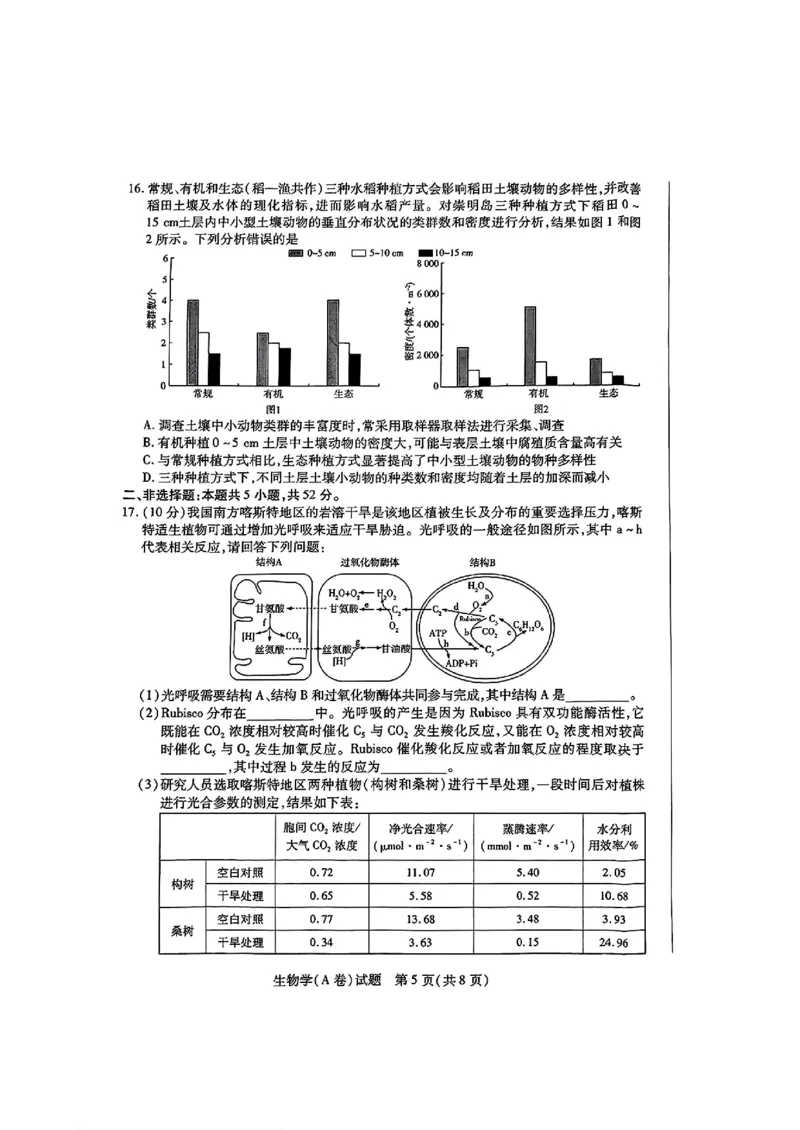 生物试卷_2024-2025高三（6-6月题库）_2024年12月试卷_1213河南省天一大联考2024-2025学年高中毕业班阶段性测试（四）_河南省天一大联考2024-2025学年高中毕业班阶段性测试（四）生物