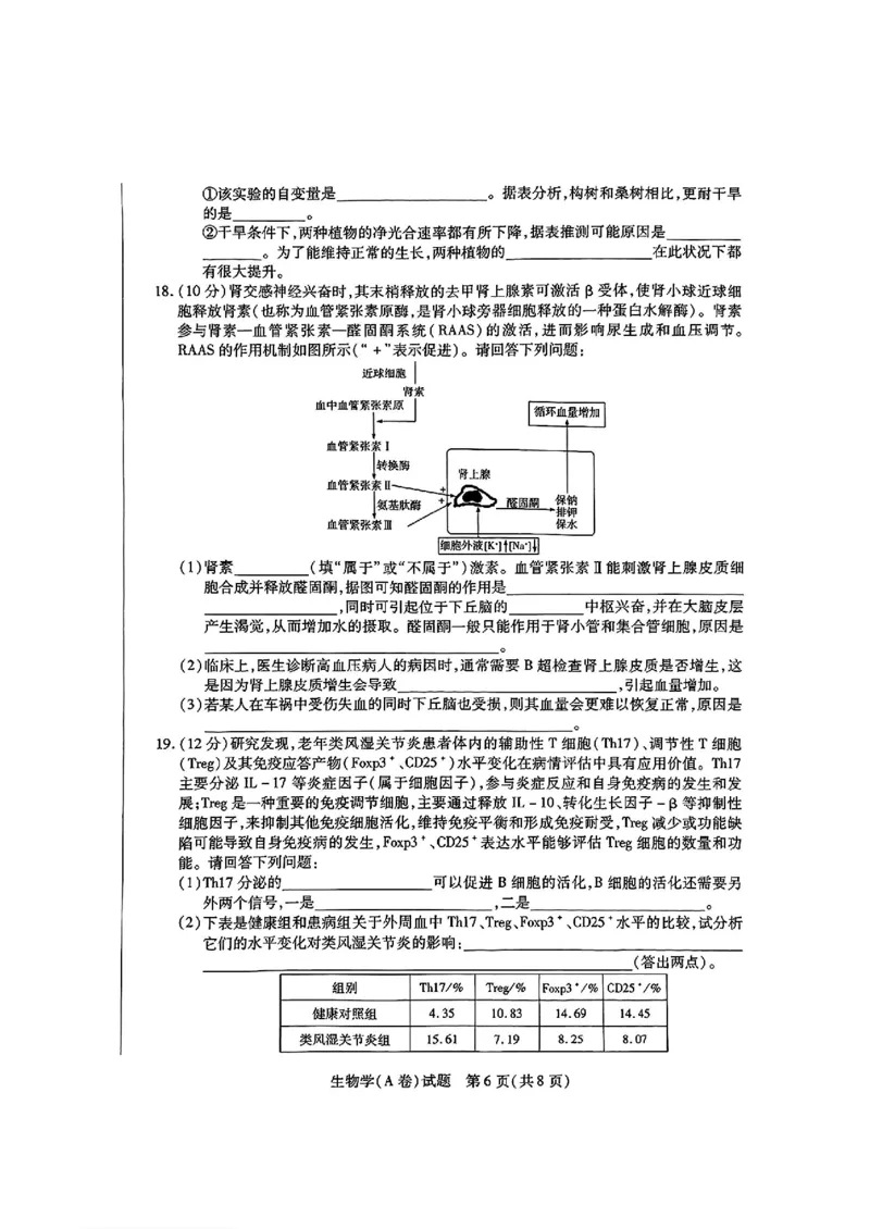 生物试卷_2024-2025高三（6-6月题库）_2024年12月试卷_1213河南省天一大联考2024-2025学年高中毕业班阶段性测试（四）_河南省天一大联考2024-2025学年高中毕业班阶段性测试（四）生物