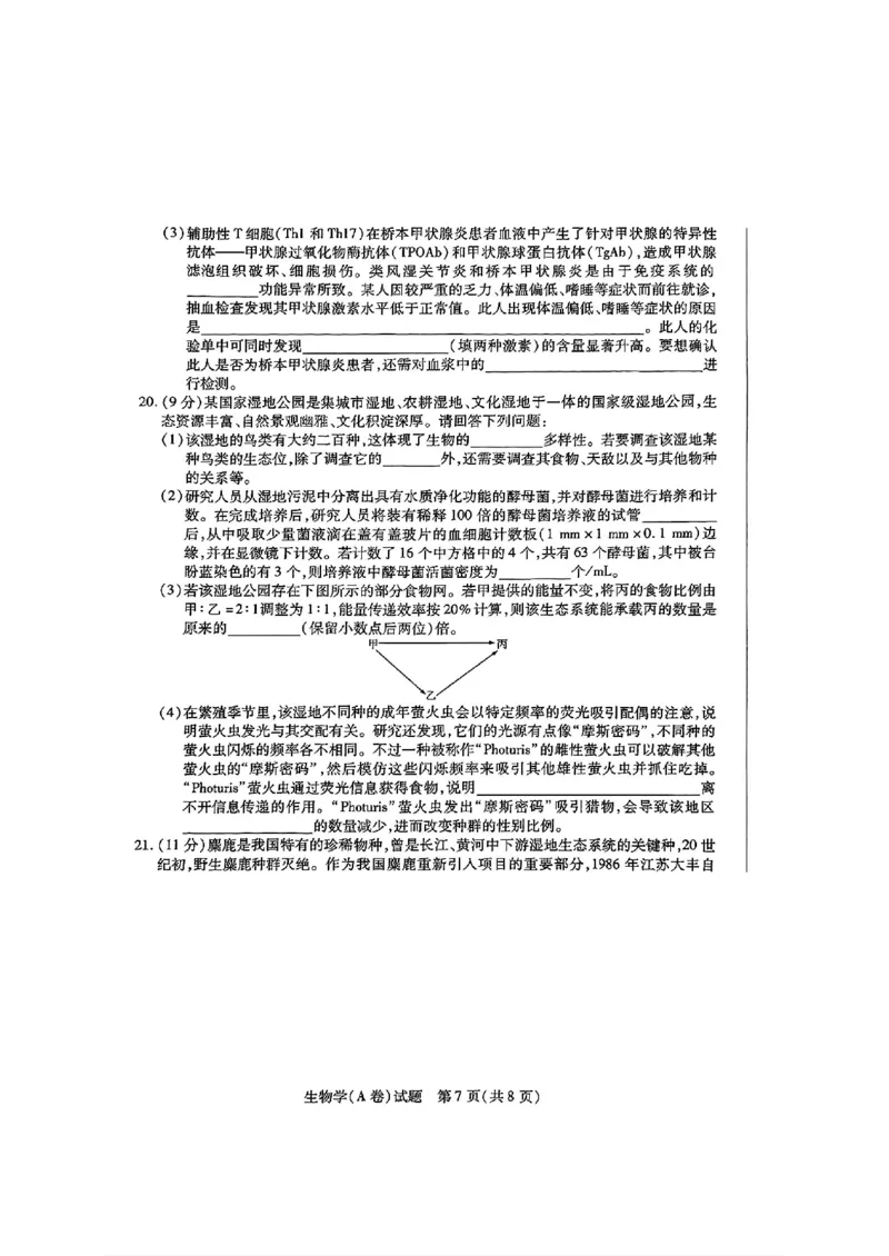 生物试卷_2024-2025高三（6-6月题库）_2024年12月试卷_1213河南省天一大联考2024-2025学年高中毕业班阶段性测试（四）_河南省天一大联考2024-2025学年高中毕业班阶段性测试（四）生物