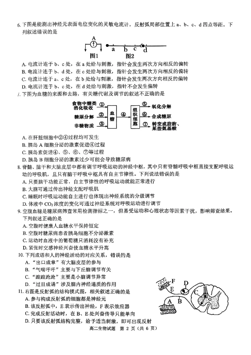 生物试题_2024-2025高二（7-7月题库）_2024年11月试卷_1119河南省驻马店市环际大联考&ldquo;逐梦计划&rdquo;2024-2025学年高二上学期11月期中考试